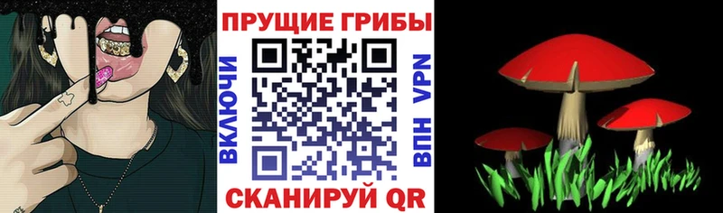 Галлюциногенные грибы прущие грибы  Ивангород 